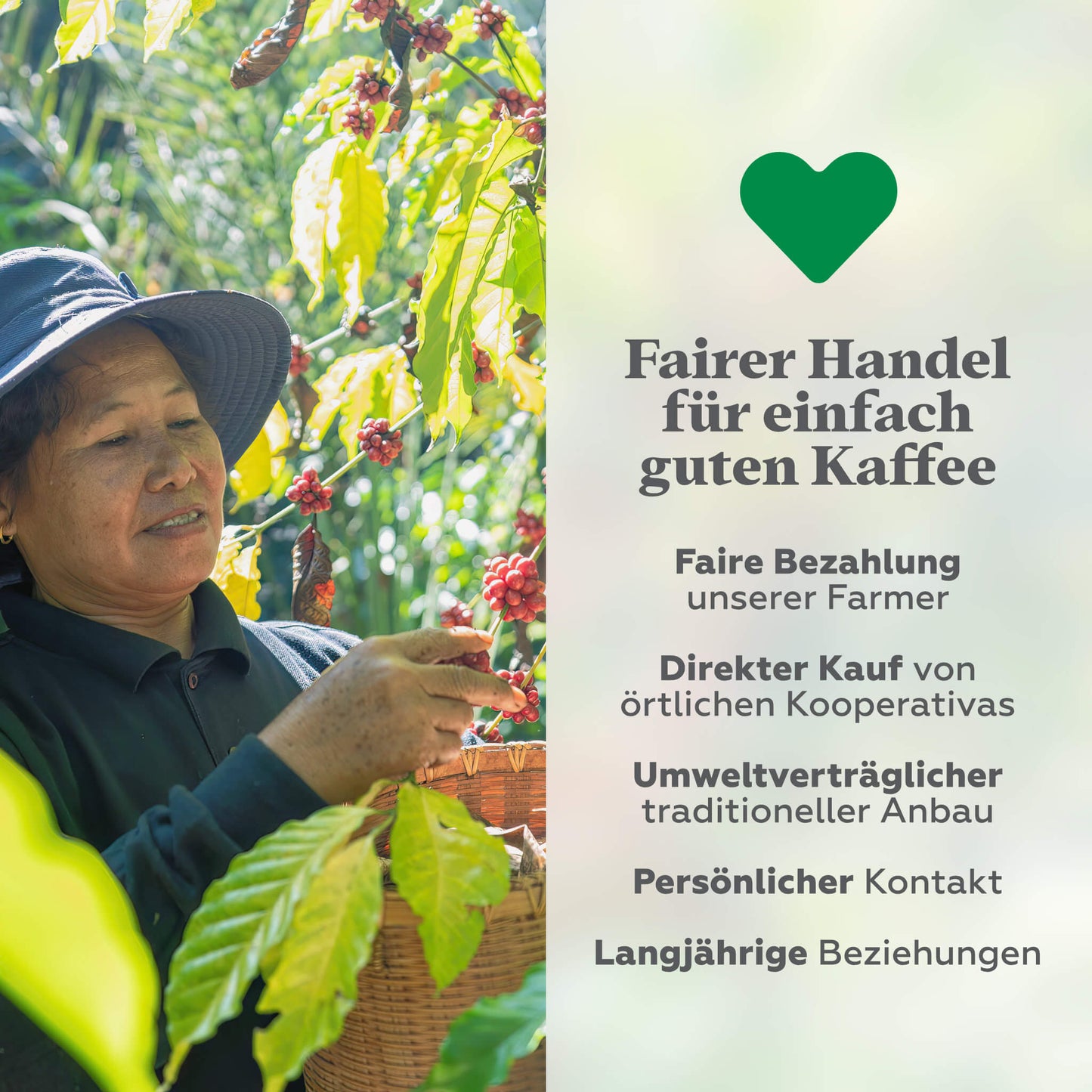 Espresso Pur - Ausgewogener Espresso