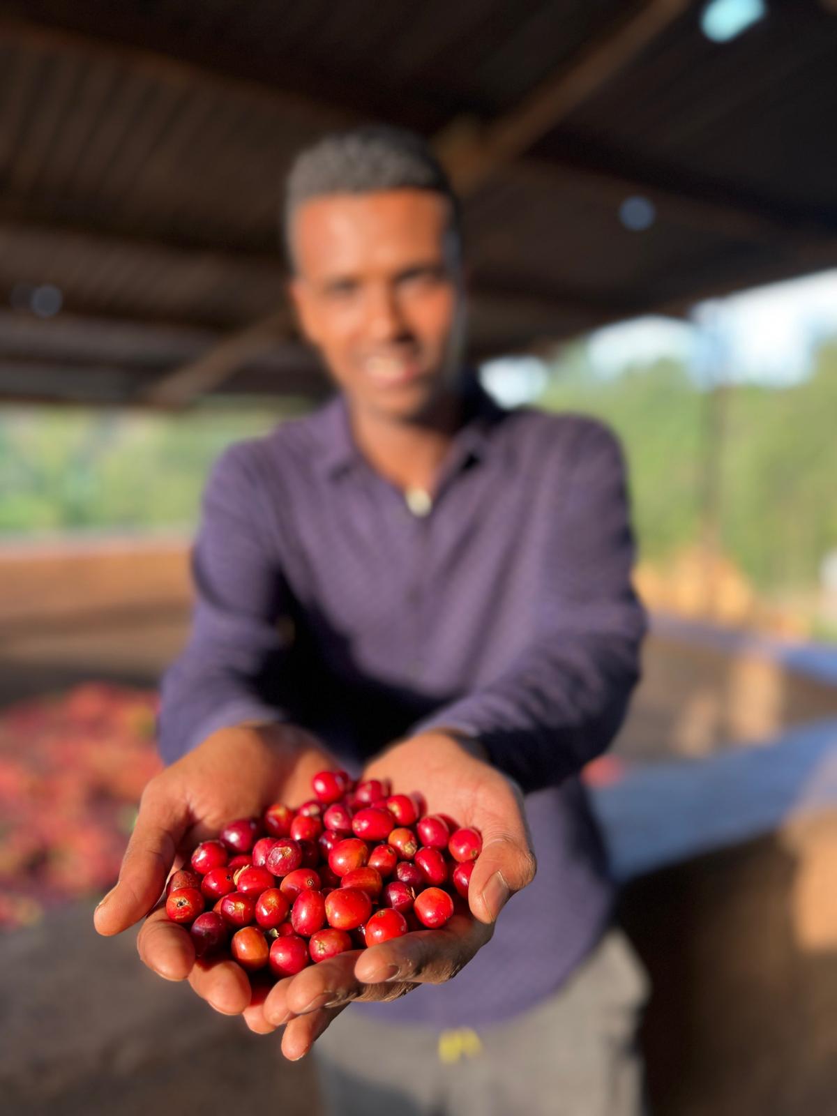 Decaf - Entkoffeinierter Kaffee